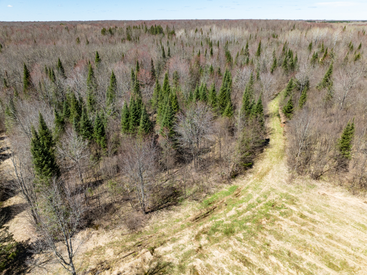 Parcel #028-101510000 - Image 8