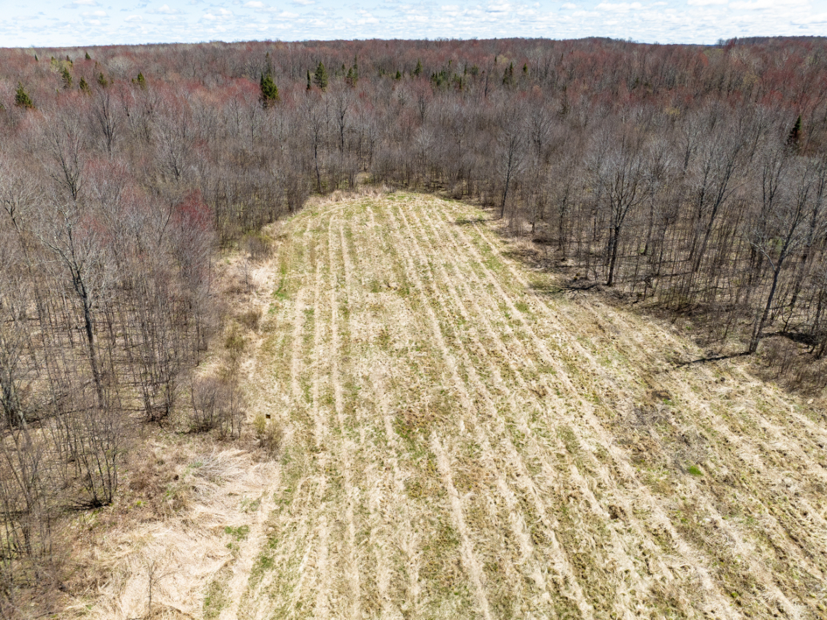 Parcel #028-101510000 - Image 18