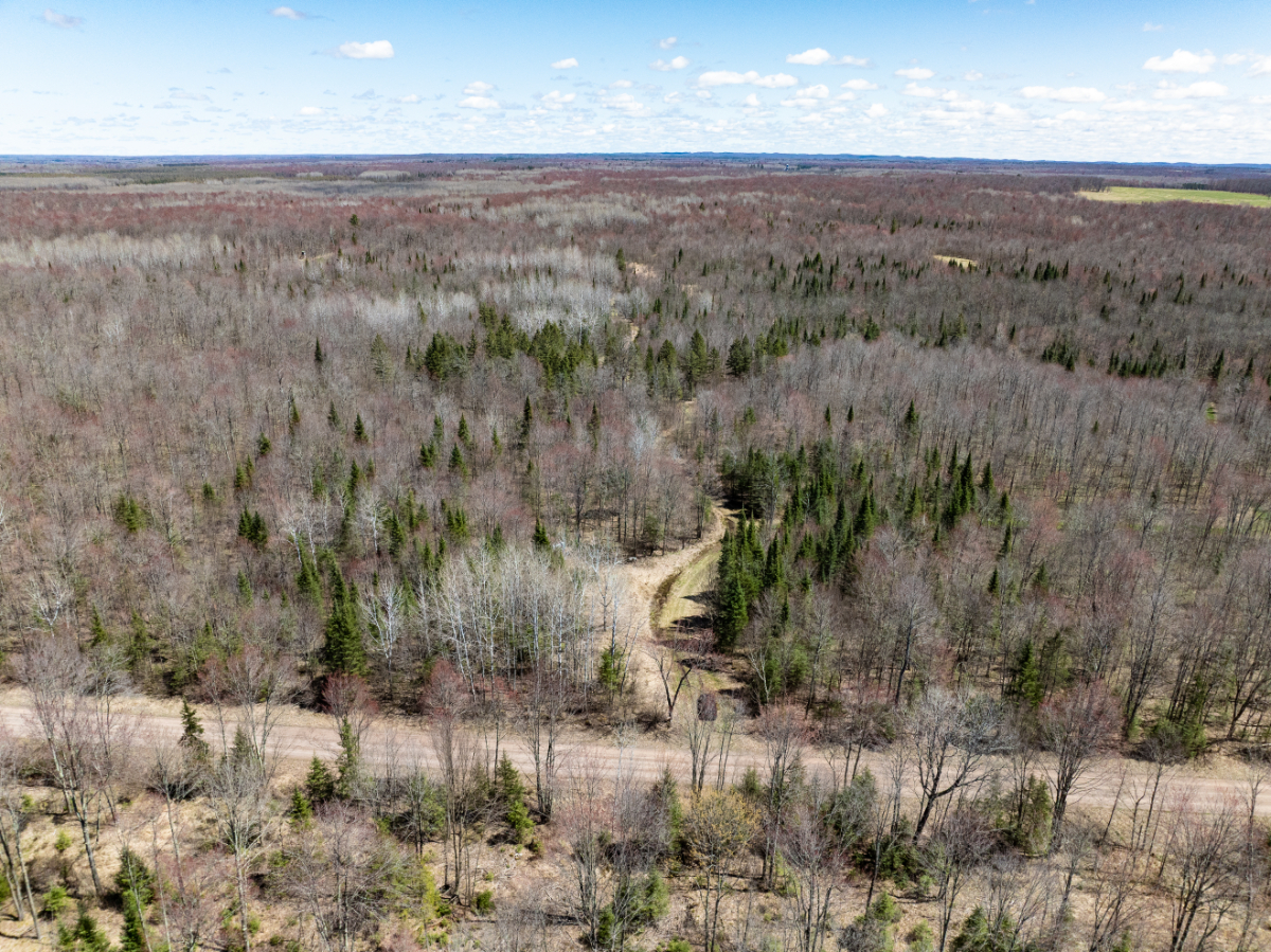 Parcel #028-101510000 - Image 6
