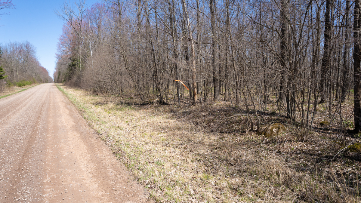 Parcel #028-101510000 - Image 16