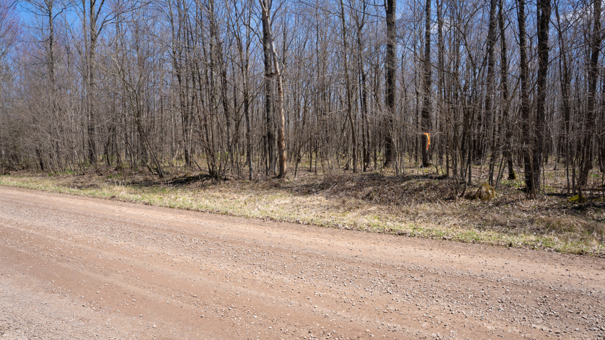 Parcel #028-101510000 - Image 12