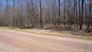 Parcel #028-101510000 - Thumbnail 12