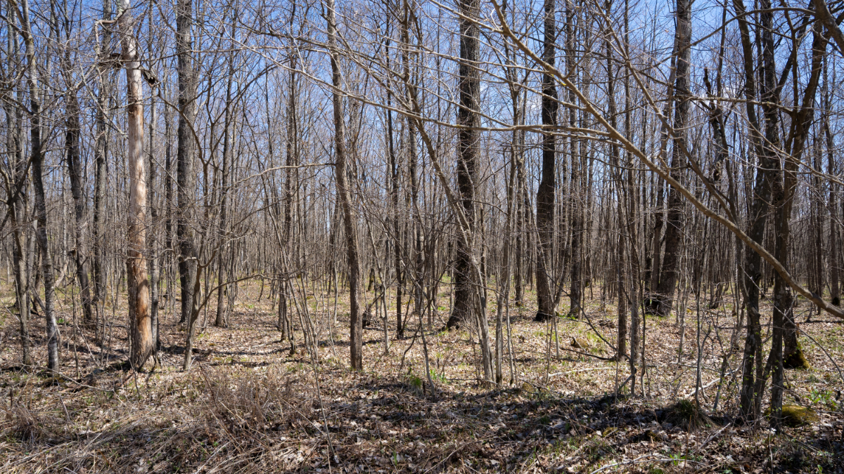 Parcel #028-101510000 - Image 13