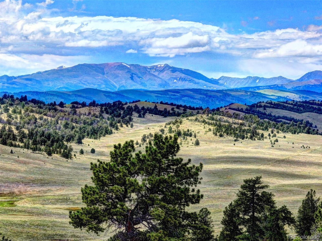 Borders national forest great hunting property